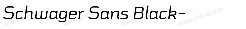 Schwager Sans Black字体转换